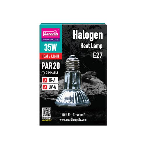 Single Arcadia Halogen Flood Lamp